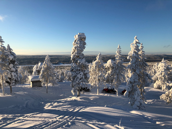  Suomen metsistä noin 60 prosenttia on yksityisomistuksessa.